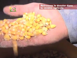 JT de Vendée agricole TV du 04 novembre 2011