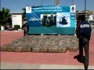 Tonnes of marijuana found in sea off Mexico
