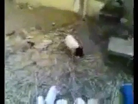 NEJAT-55.koyuna korku maskesi giydirilirse