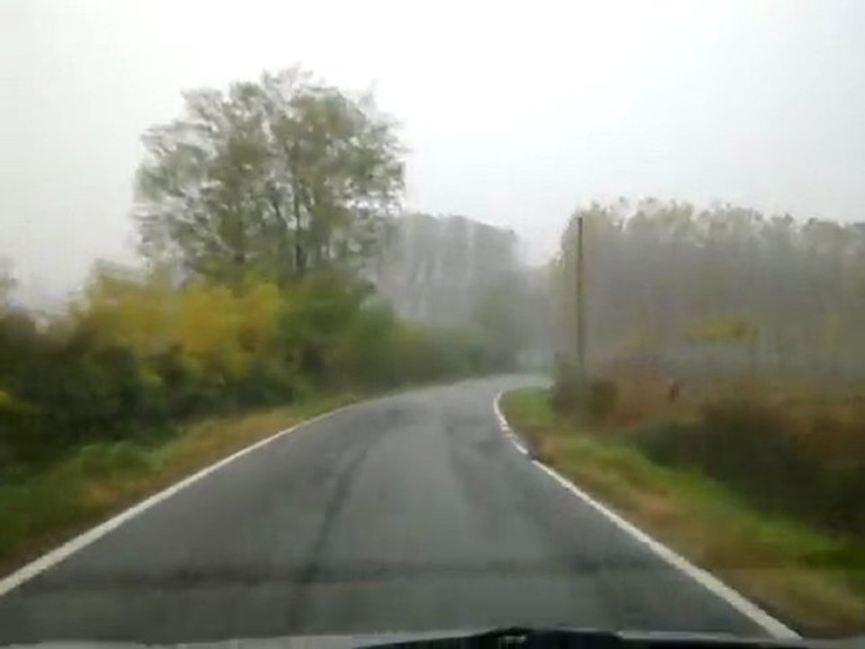 piogge..
