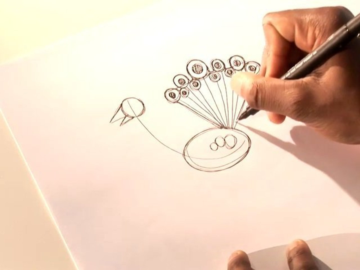 How To Draw A Peacock