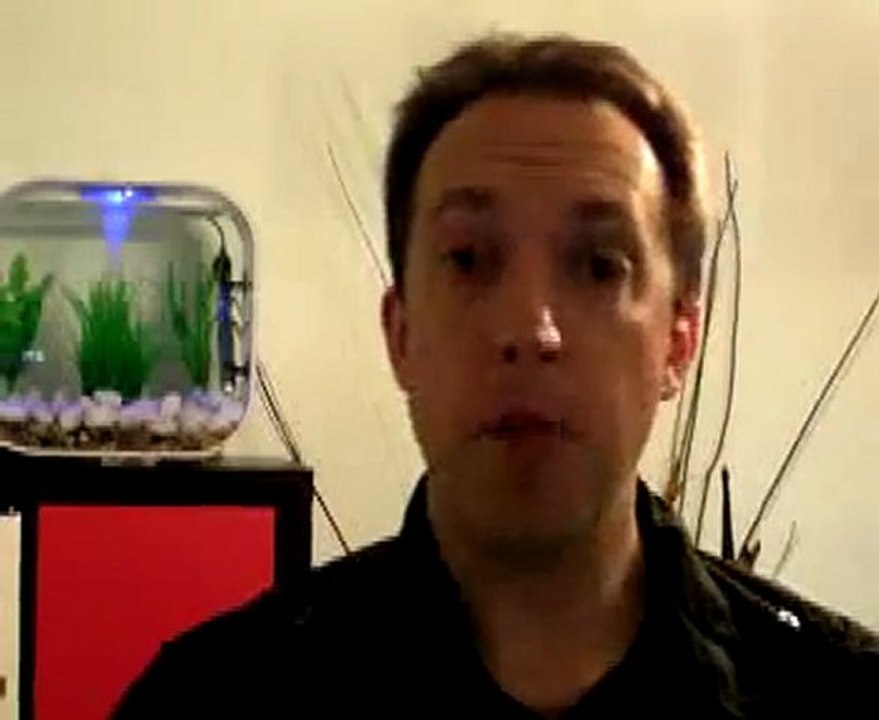 The Secrets of The Wealth Accelerators - Contributor