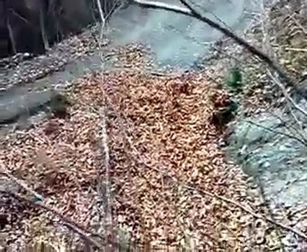 NEJAT-55.Yok böyle bi korku