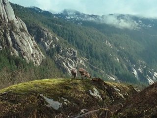 SPOT PROMO TWILIGHT Chapitre 4 Révélation 1ère Partie