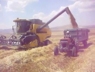 2011 Yaz Hasat işleminden Görüntüler