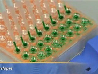 Elisa_Kit___Optimiser_TM__rapid_microfluidic_assay