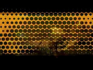 KEDGE .ONE MIC. NAS .2011