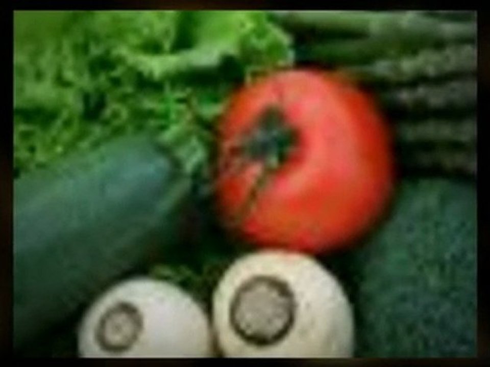 Cholesterol Lowering Formula In A Diet