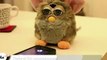 Zapping décalé : Furby communique avec l'iPhone 4S