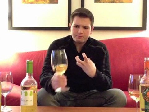 Value-priced Spanish White Wines