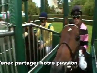 Correction démo Haras de Mandore