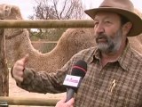 De nouveaux pensionnaires à la Ferme Janvry