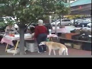 Pete Seeger and Bernice 1 0f 9