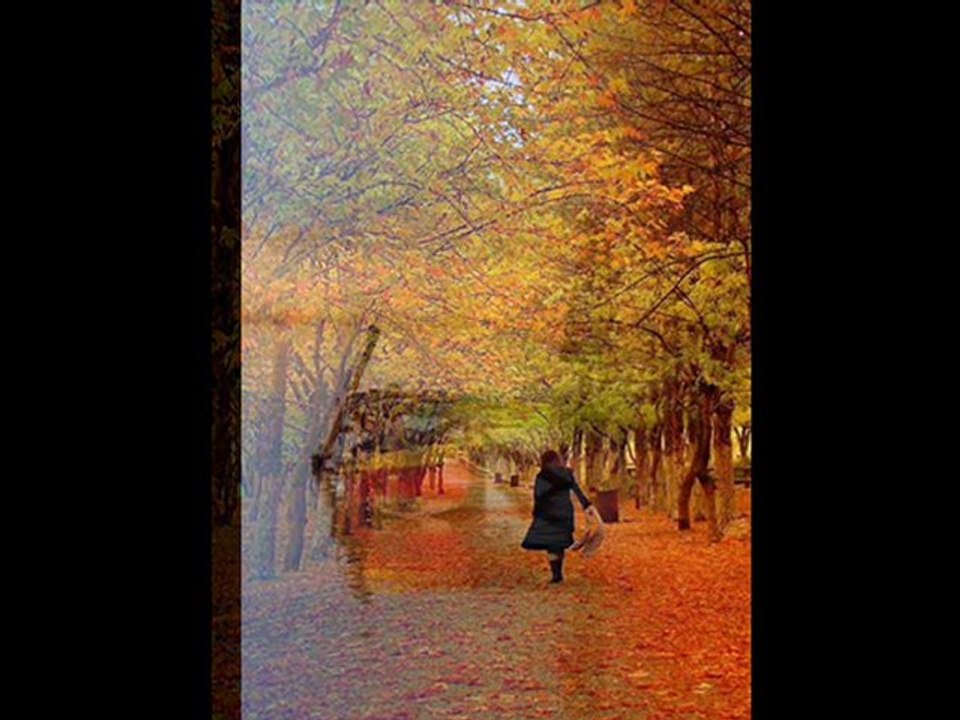 ŞiiRCe..