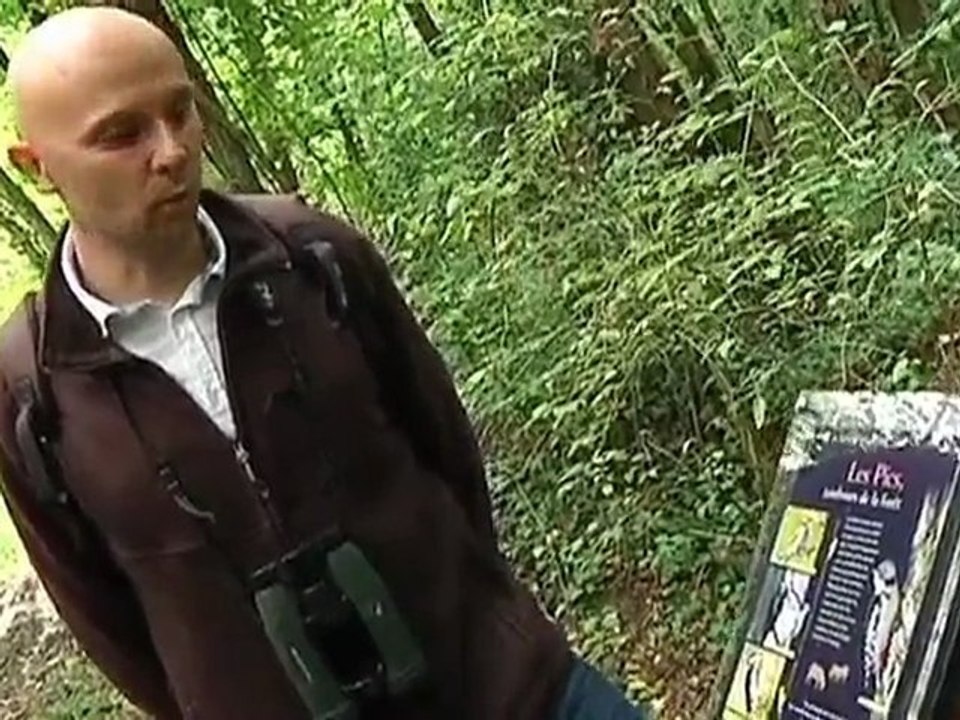 Le sentier des Brebis (Brienne-la-Vieille)