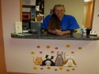 Charlotte Pet Sitting | Feline Fabulous