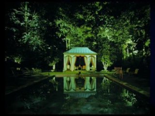 Vernon Daniel Associates - Expert Landscape Lighting 🌟