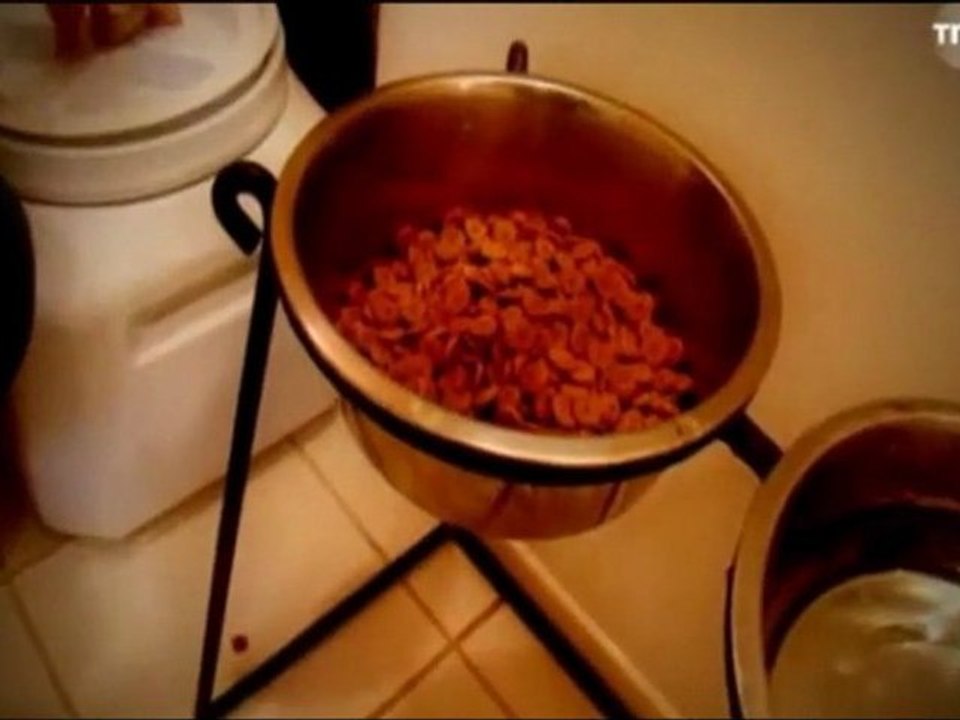 La meilleure amie du chien