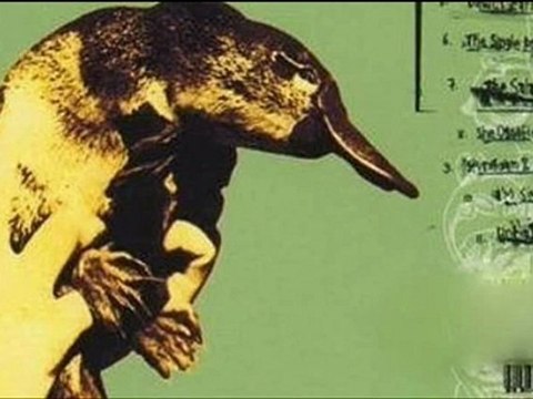 Trevor Dunn's Trio Convulsant - Specter of Serling