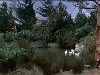 A Shot in the Dark (1964)