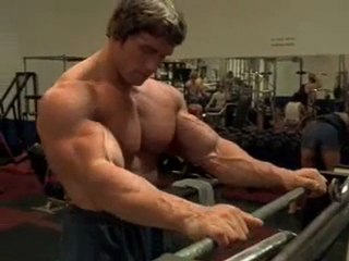 Discover Arnold Schwarzenegger: From Bodybuilding Legend to Hollywood Icon 💪