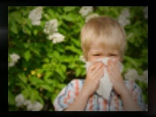 Natural Solutions For Allergies
