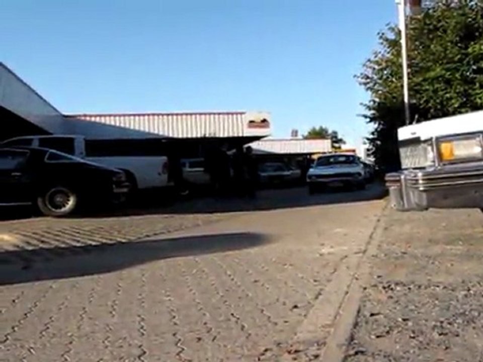 Holyhaubentauchen2011