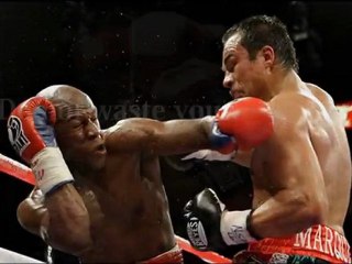 Sebastien Gauthier vs Steve Molitor live sopcast online HD satellite coverage BOXING on pc