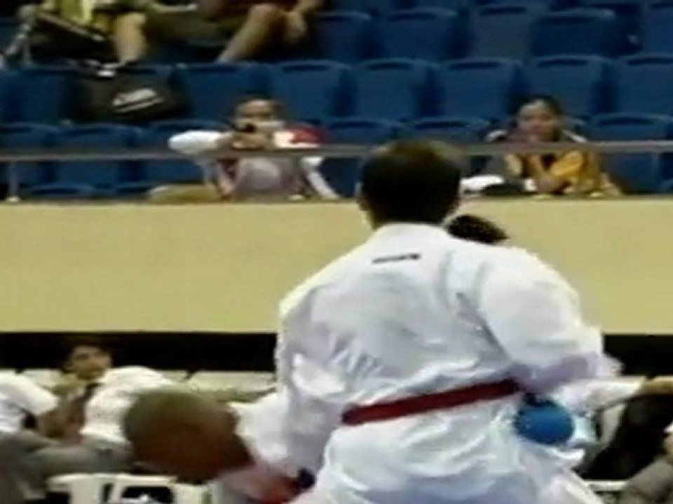 Karate | WKF | -75 Kumite Individual Male Seniors, Istanbul 2011