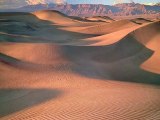 PhotoStory                                  το τραγουδι της ερημου