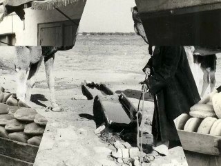 LA TUNISIE dès années 60