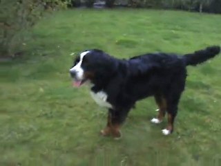 DANA fait des progrès (7)