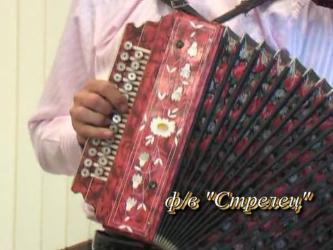 Русская гармонь.г.Димитровград.