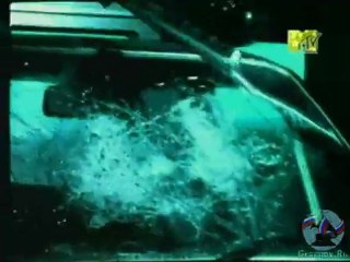 Акула - Такая любовь