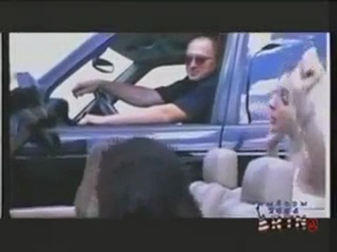 Андрей Губин -Облака