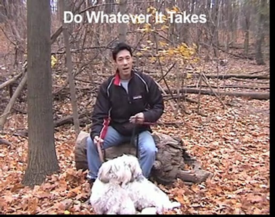 Do Whatever It Takes Approach - Motivational WebTV #62