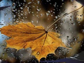 HİÇBİR ŞEYİN TADI YOK