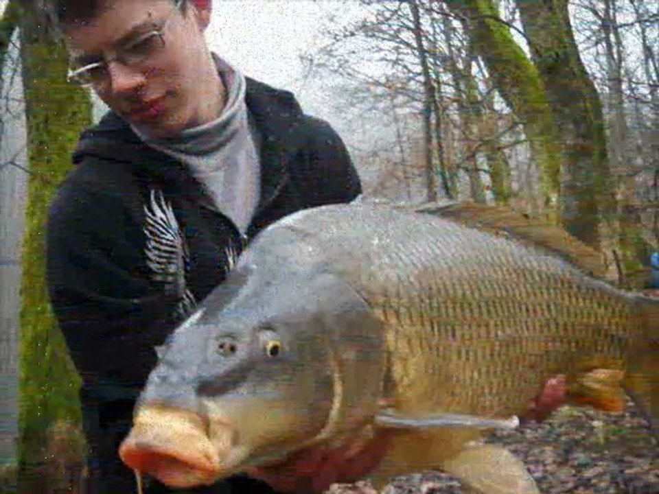 saison2011