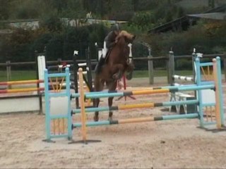 Flink Fopje CSO 120 Chazey