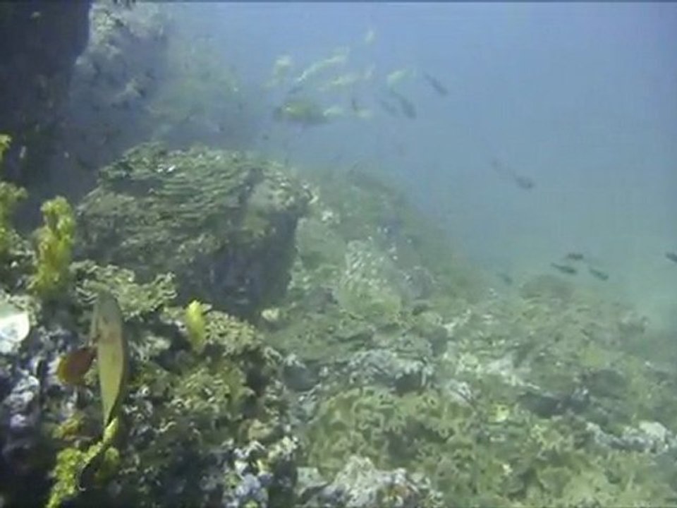 Oman 2011