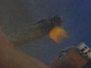 Brujeria-Don Quijote Marijuana