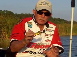 Tips on Lipless Baits with Elite PRO Steve Daniel