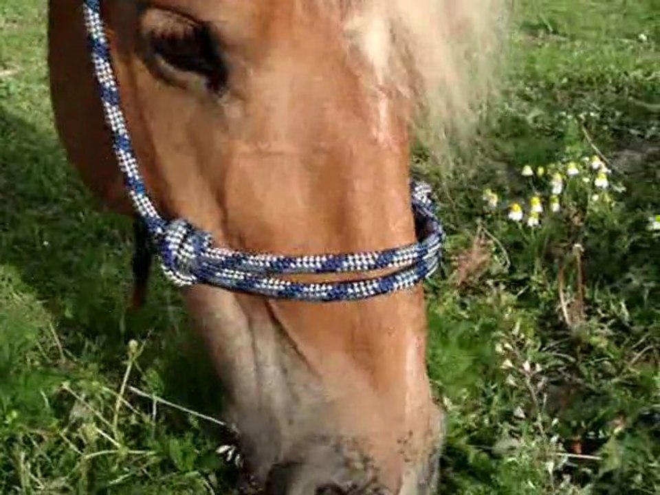 Imprévue & Marine un Jour .. Pour Toujours.