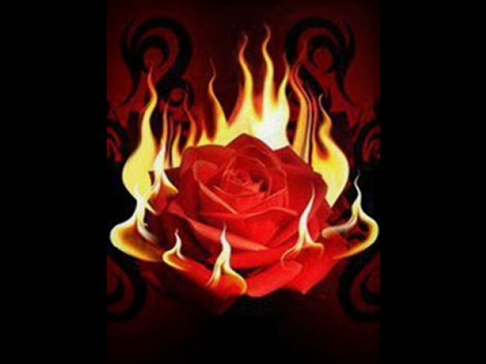 yasaklısevdam azime öz şikayetim var