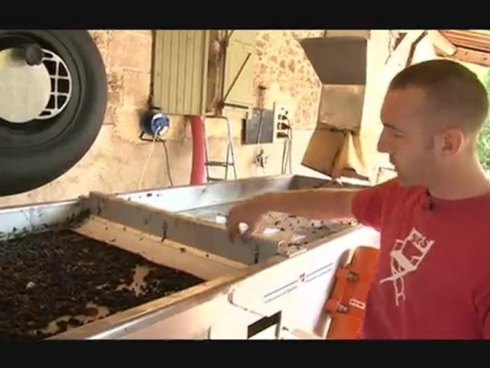 Vendange 2011 au Mas de Martin