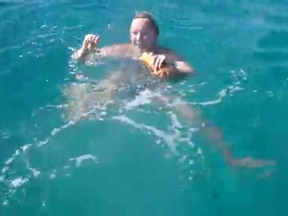 Nourrir les poissons - part 1