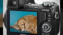 Sony Cybershot DSC-H5 7.2MP Digital Camera with 12x ...