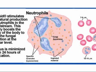 Treating Nail Fungus the Natural Way