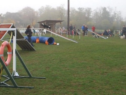 Elis Degre TVA 301011