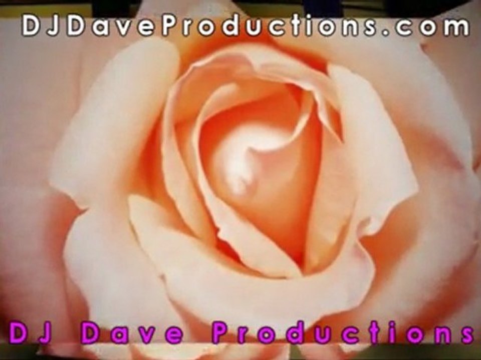 Houston Wedding DJ, Wedding DJ Houston, DJ The Woodlands TX